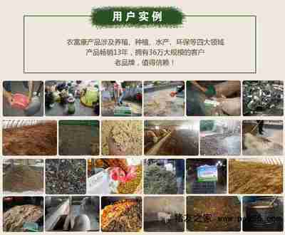 生物饲料研发助力猪肠炎拉稀的科学预防