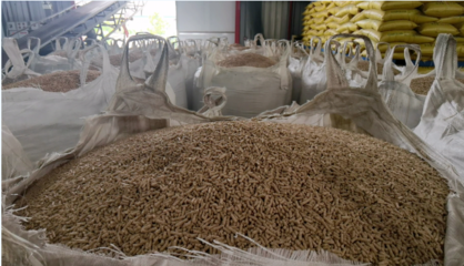 企业风采丨荆州格力特生物科技 以质兴企，助力养殖业降本增效的生物饲料研发