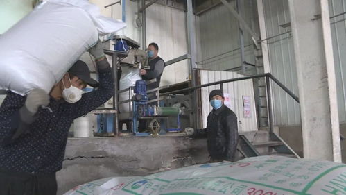 战疫情 保供应 饲料厂加紧生产与生物饲料研发