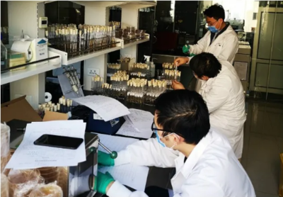 图说2020 那些感动中轻的难忘瞬间——生物饲料研发篇