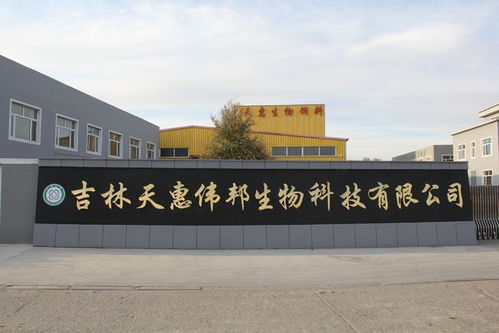 天惠生物发酵饲料 以创新研发助力生态健康养殖新篇章