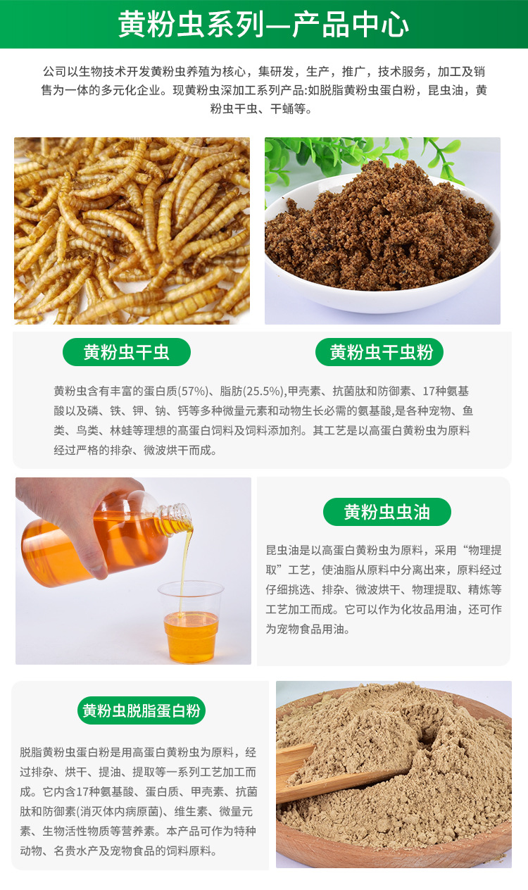 面包虫干 小身材大营养，一站式全宠物营养解决方案