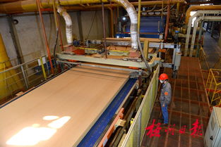 广西三威林产工业 以创新研发驱动产业升级，生物饲料产品引领绿色新赛道