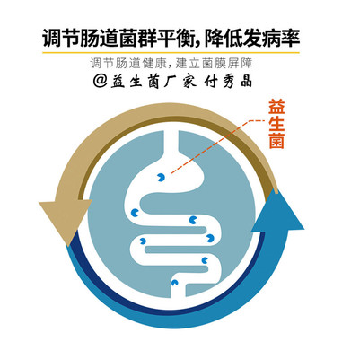 奶牛消化问题科学应对 生物饲料添加剂研发与高效应用