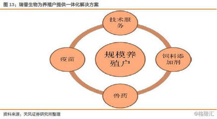 瑞普生物(300119.SZ):禽流感疫苗行业扩容,公司迎黄金发展期——兼论生物饲料研发的战略路径