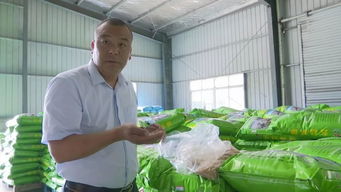 十三条倔强的背影 700余天反复试验，铺就虾农绿色健康养殖路