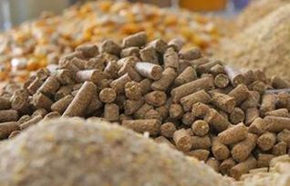 生物饲料中低档产品市场竞争激烈