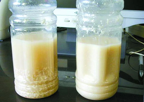 发酵菌剂在生物饲料研发中的发展瓶颈与市场前景探析