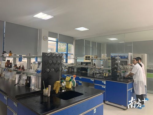 增产20倍，院士专家工作站引领生物饲料研发革命——聚焦佛山创新驱动助力工程