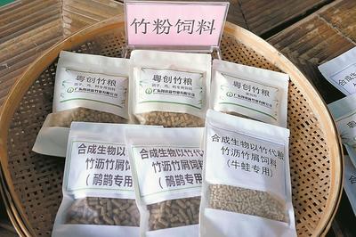清远英德西牛镇 打造“以竹代塑”“以竹代粮”绿色产业，推动生物饲料研发